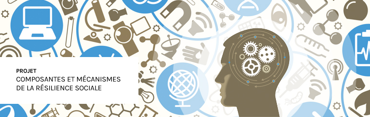 composantes et mecanismes de la resilience sociale